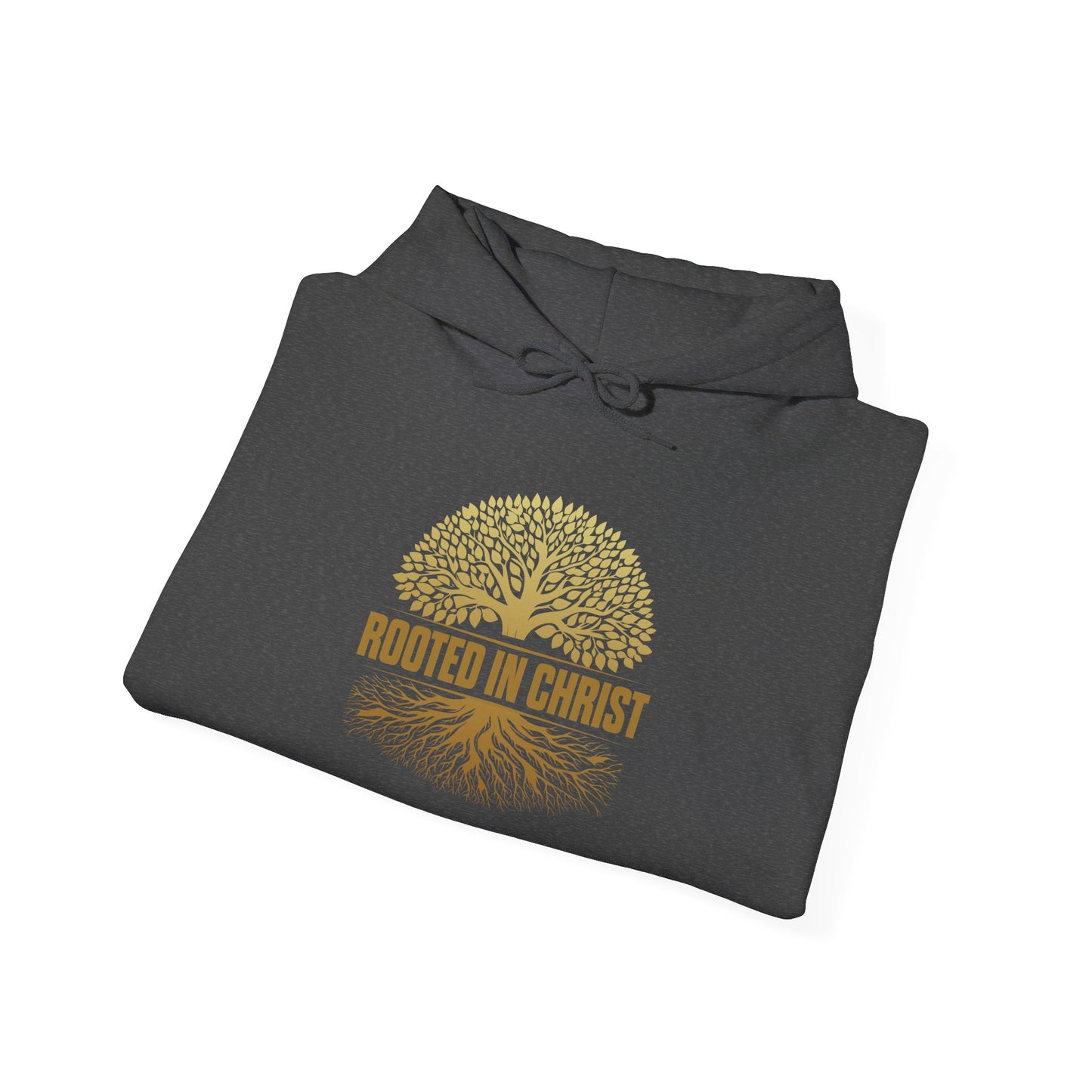 Unisex Hoodie Rooted in Christ
